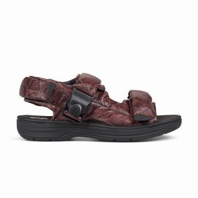   Martine Rose Sandal 'Brown Snake' Generic Compression Molded Sole