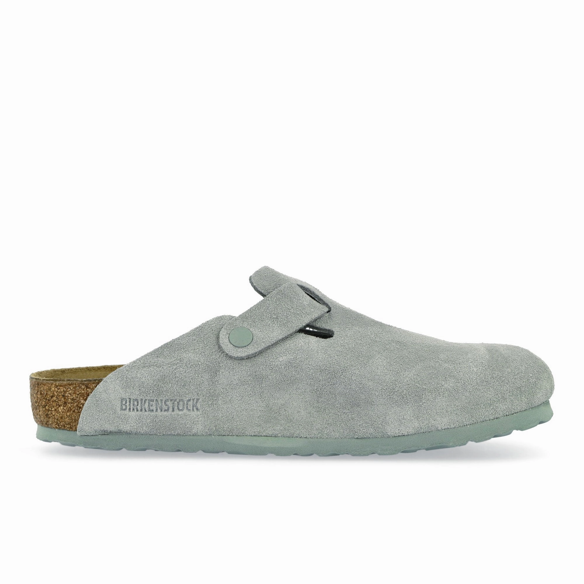 Boston BS Daily Walk