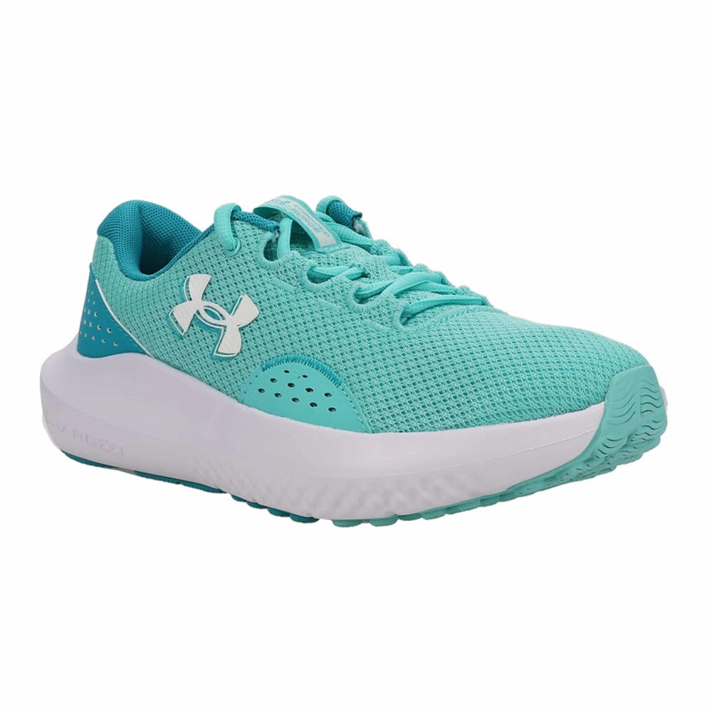 Maximum Cushioning Charged Surge 4 Running Shoes