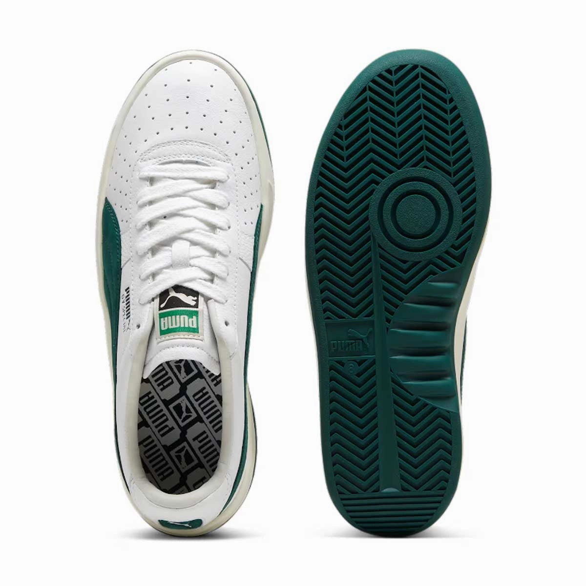 Modern Dynamic Traction GV Special Base 'White Dark Myrtle'