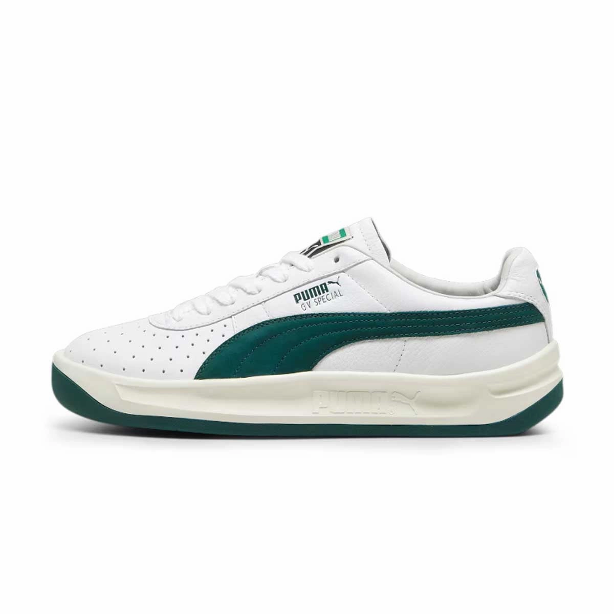 GV Special Base 'White Dark Myrtle' suitable for amateurs Present