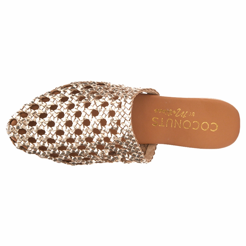 Characteristic Advantageous Every Metallic Mules