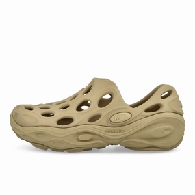 Long Day Hydro Next Gen Moc SE