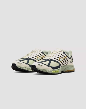 Professional athlete Nike Air Pegasus 2005