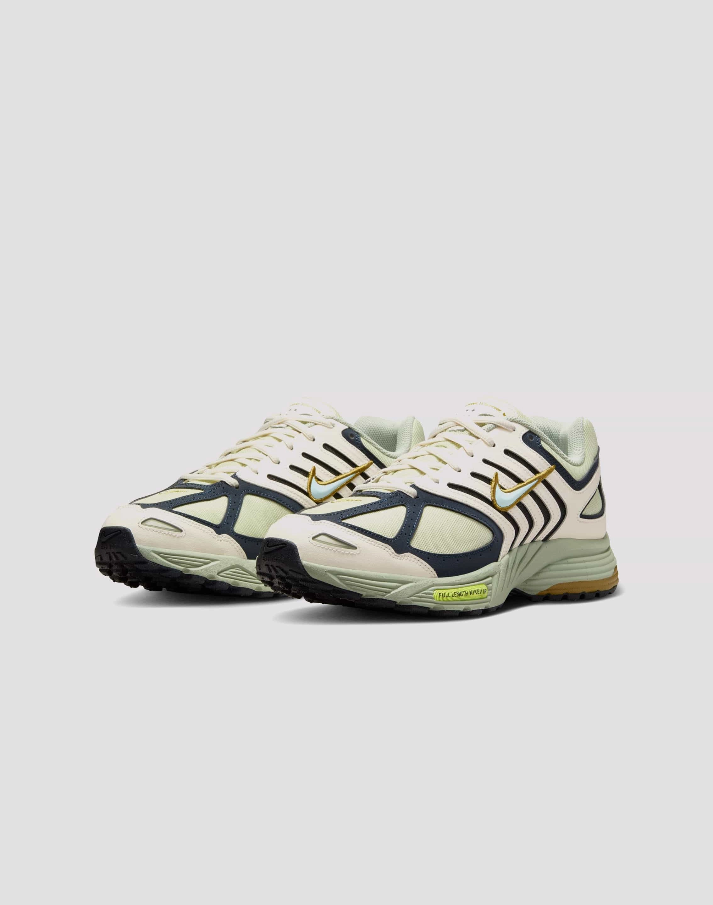 Professional athlete Nike Air Pegasus 2005