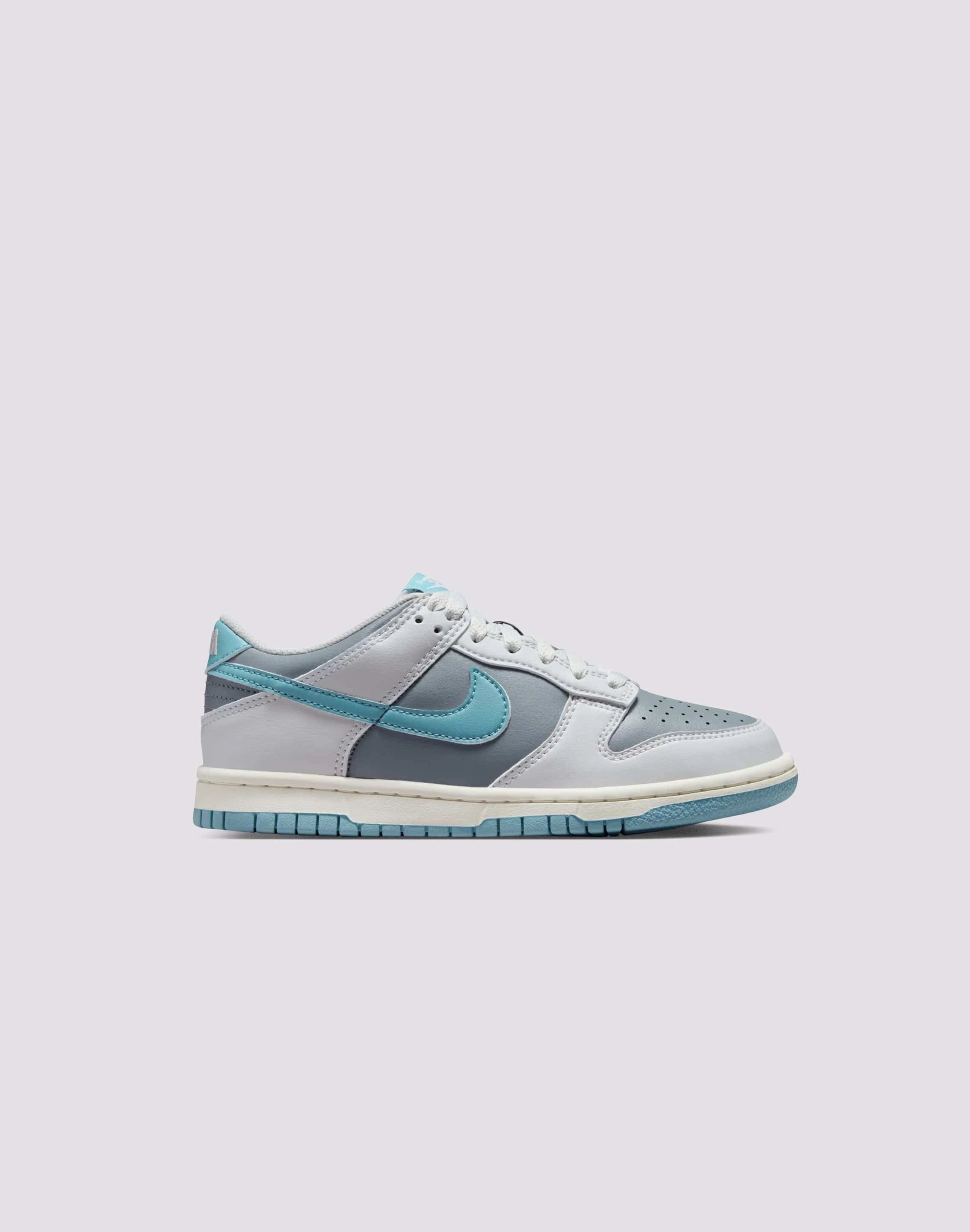 Lightweight Frame Nike Dunk Low Grade-School