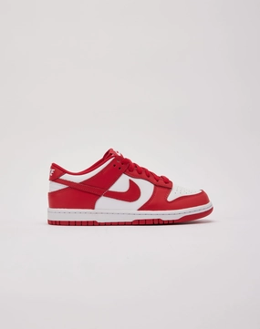 Music Festival Nike Dunk Low Grade-School