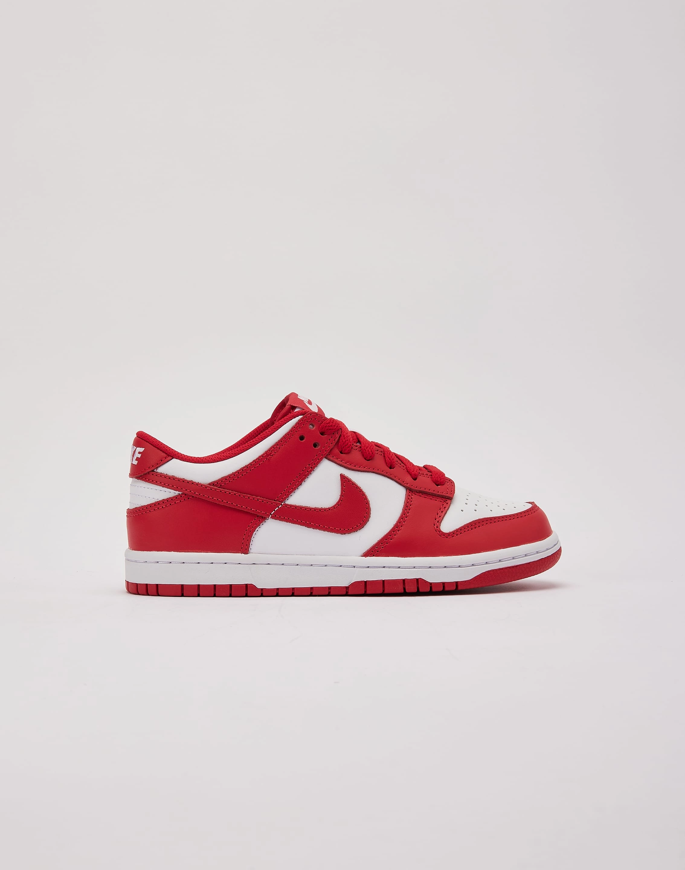 Music Festival Nike Dunk Low Grade-School