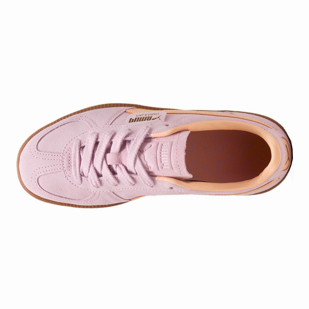 Palermo Lace Up Sneakers Quick piece Structured chic