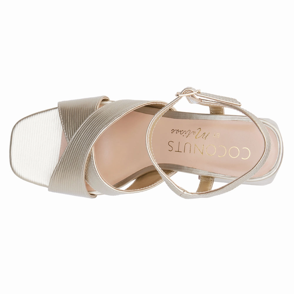 Robin Metallic Ankle Strap Platform Sandals Fine