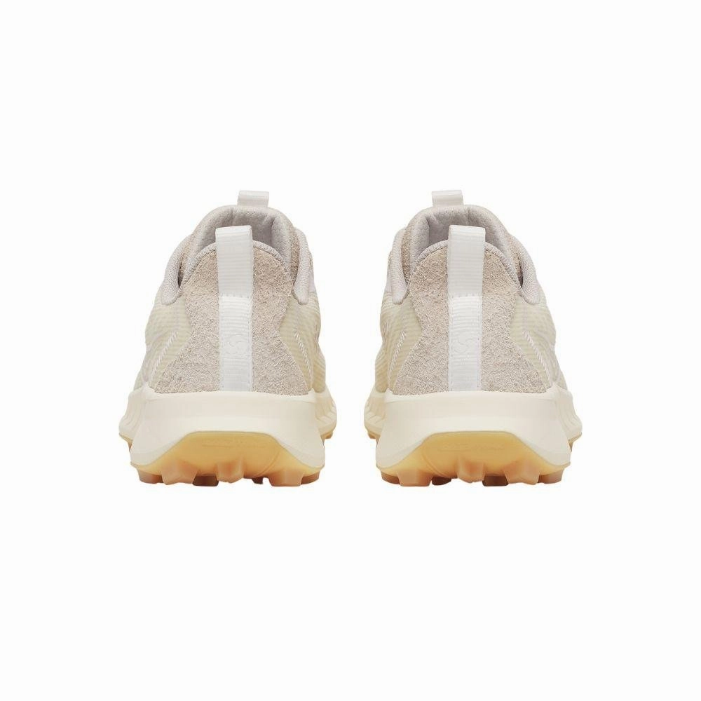 biggest SAUCONY PEREGRINE 15 ?????????????????????